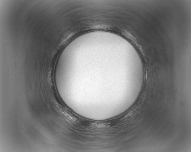 X0000052970249200508051022