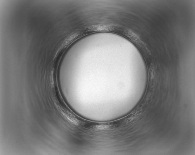 X0000052970250200508051022