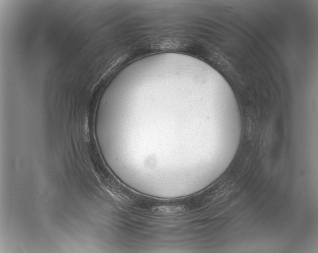 X0000052970251200508051022