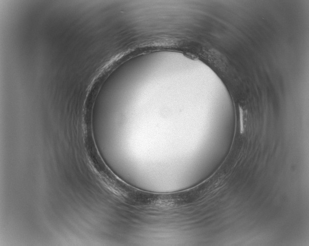 X0000052970252200508051022