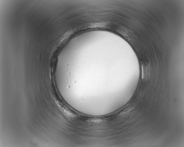 X0000052970253200508051022