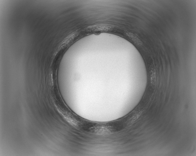 X0000052970254200508051022