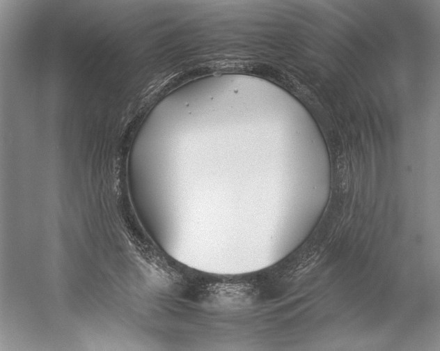 X0000052970255200508051022