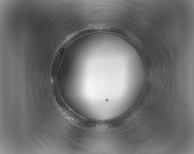 X0000052970256200508051022