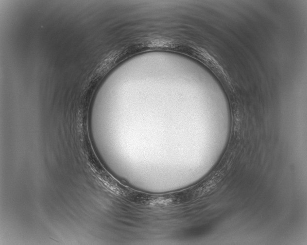 X0000052970257200508051022