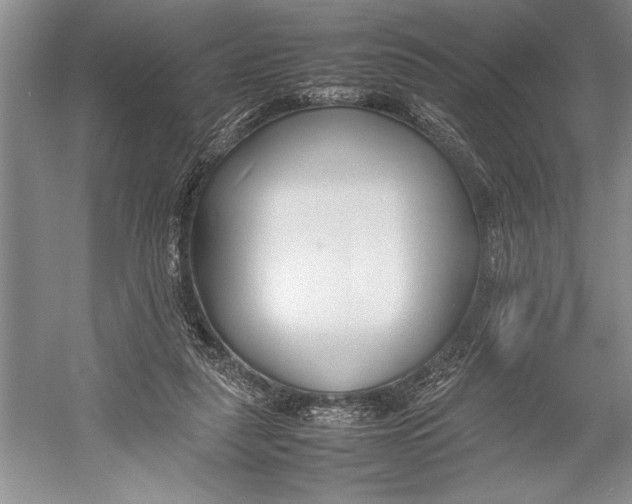 X0000052970259200508051022