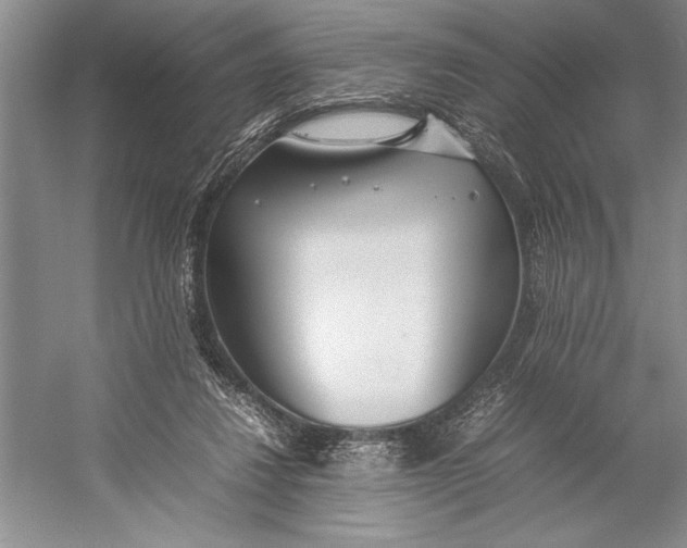 X0000052970260200508051022