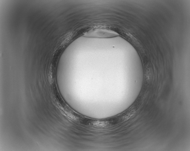 X0000052970261200508051022