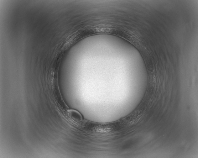 X0000052970263200508051022