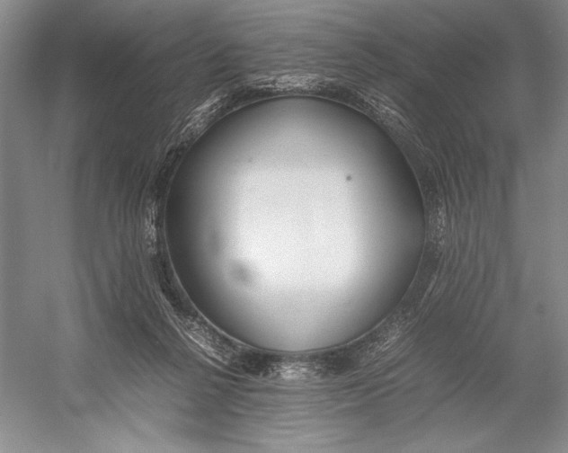 X0000052970264200508051022