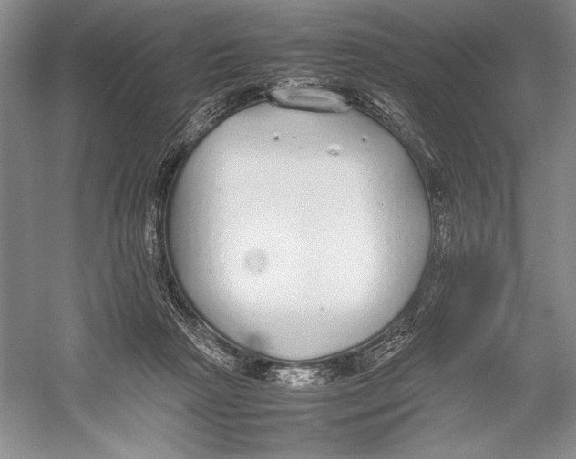 X0000052970265200508051022