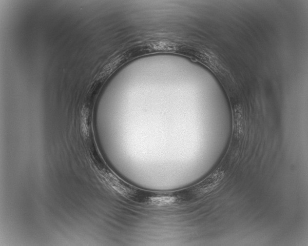 X0000052970266200508051022