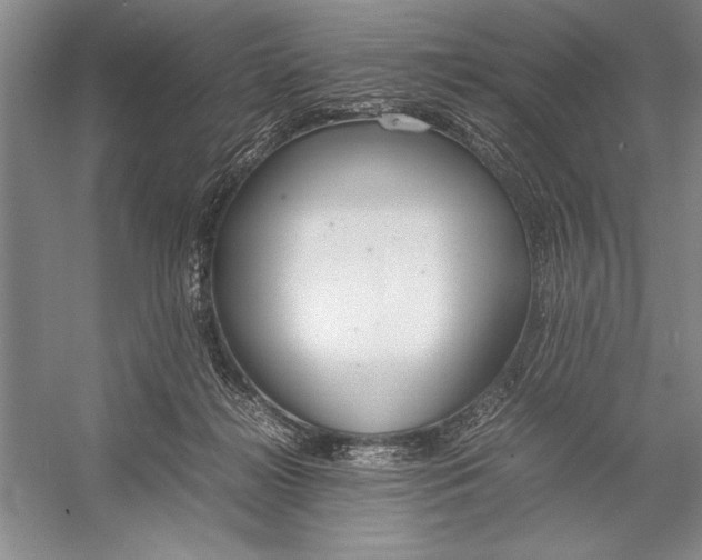 X0000052970268200508051022