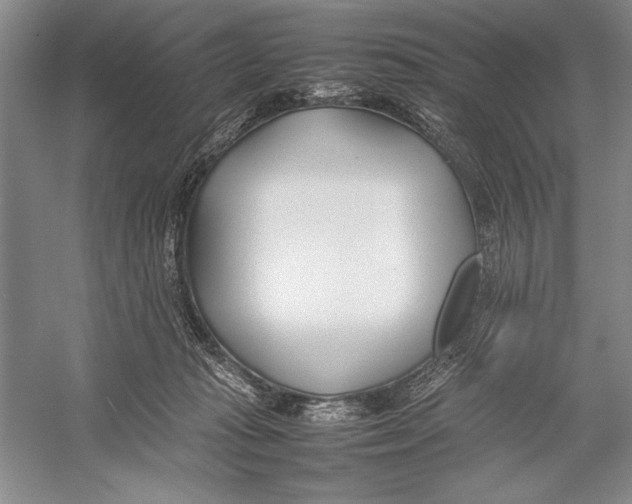 X0000052970269200508051022