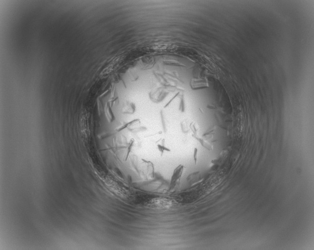 X0000052970272200508051022