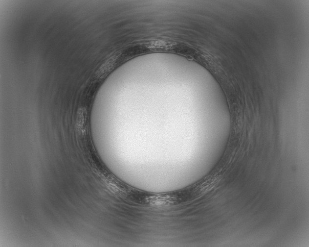 X0000052970273200508051022