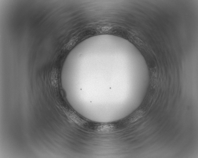 X0000052970274200508051022