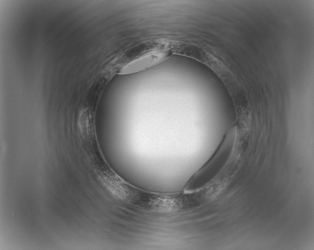 X0000052970276200508051022