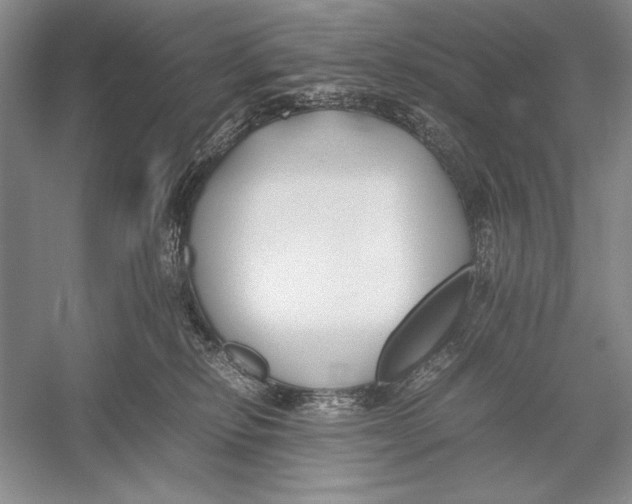 X0000052970278200508051022