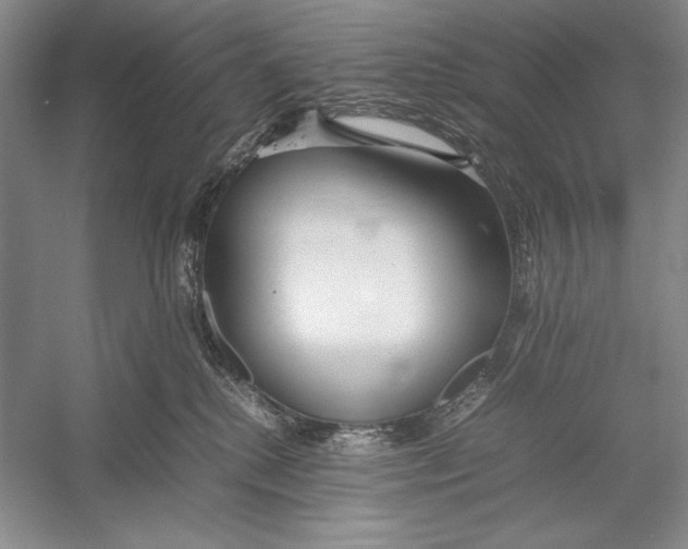 X0000052970280200508051022