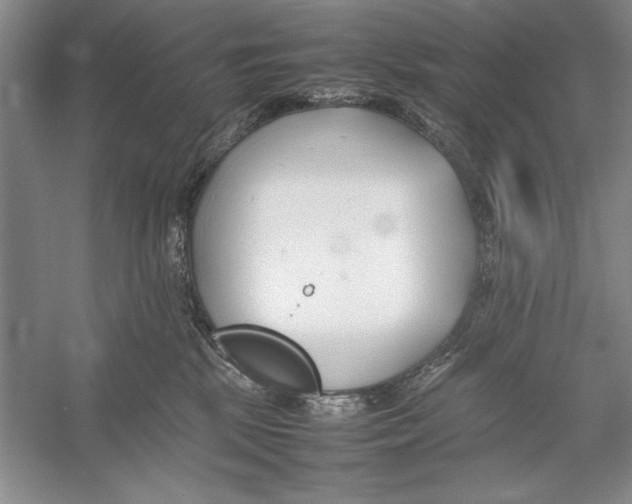 X0000052970281200508051022