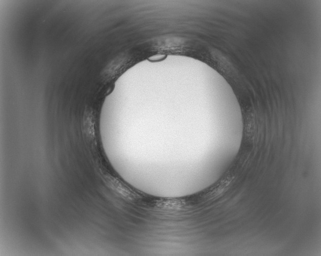 X0000052970282200508051023