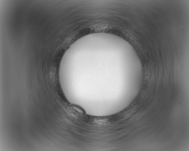 X0000052970283200508051023