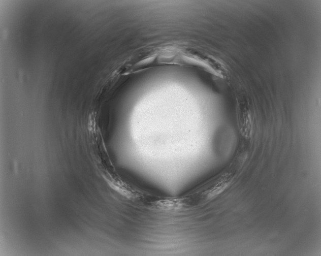 X0000052970284200508051023