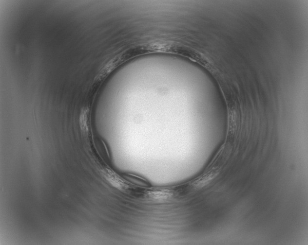 X0000052970286200508051023