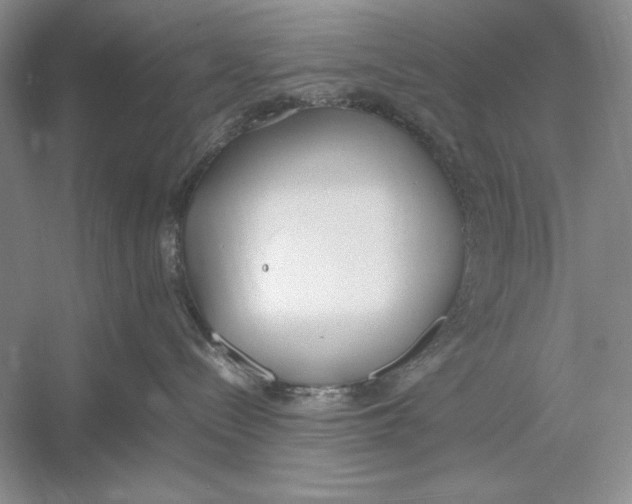 X0000052970288200508051023