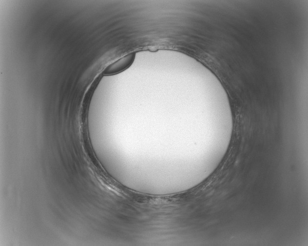 X0000052970290200508051022