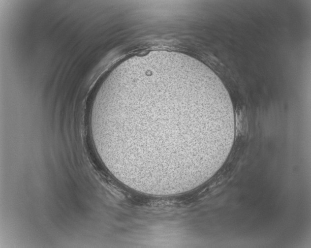 X0000052970291200508051022