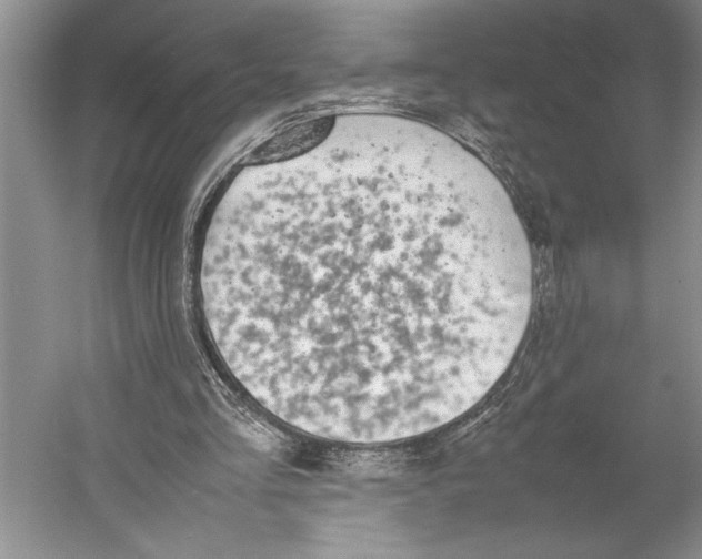 X0000052970293200508051022