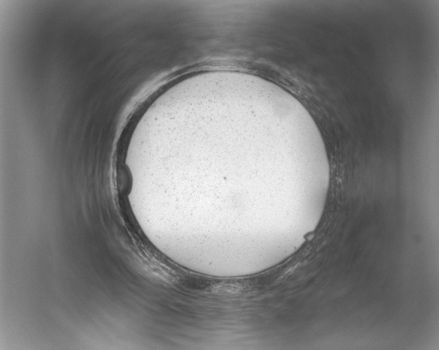 X0000052970294200508051022