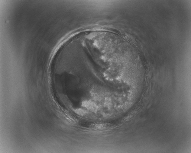 X0000052970295200508051022