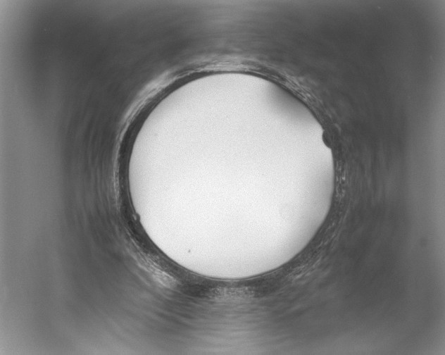 X0000052970296200508051022