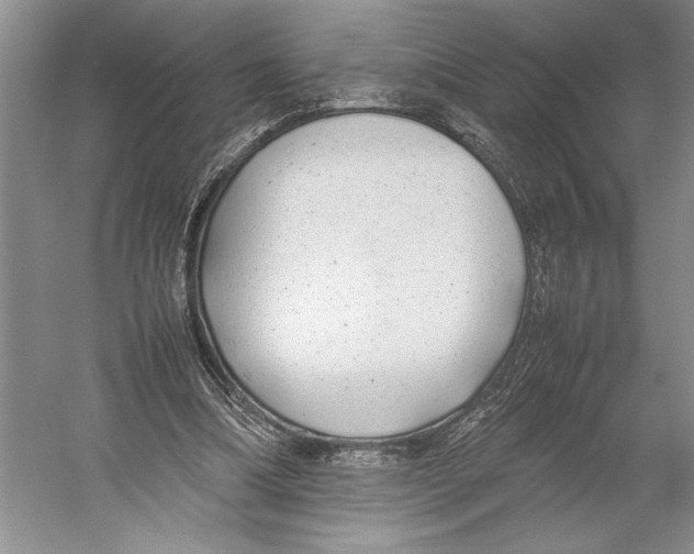 X0000052970298200508051022