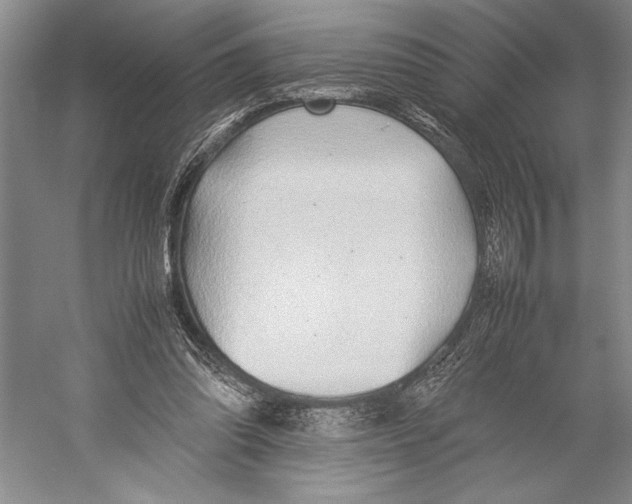 X0000052970302200508051022