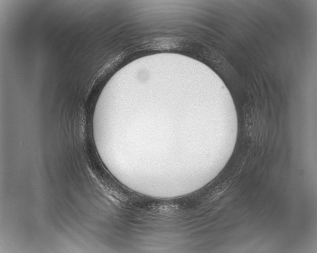 X0000052970304200508051022