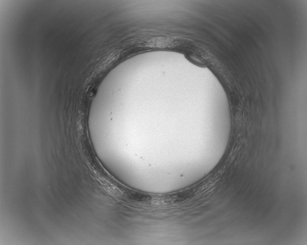 X0000052970305200508051022