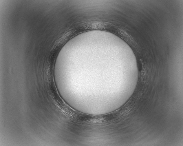 X0000052970306200508051021