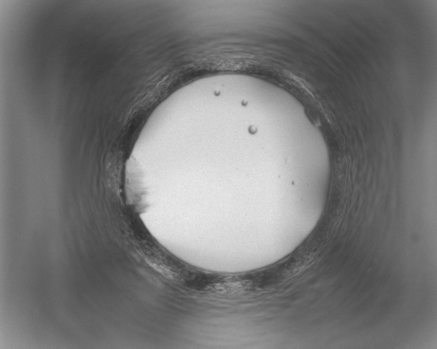 X0000052970307200508051021