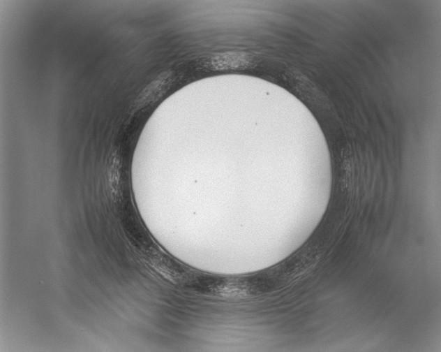 X0000052970308200508051021