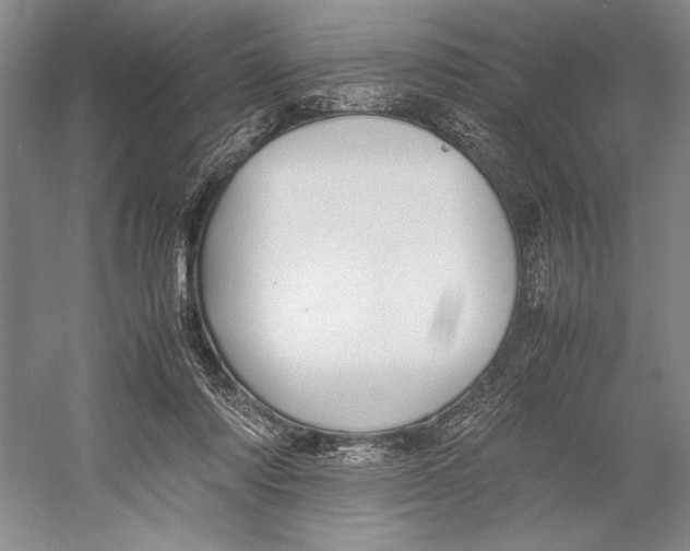 X0000052970310200508051021