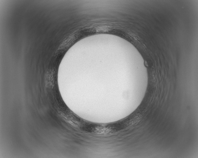 X0000052970311200508051021