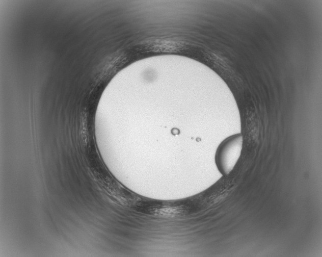 X0000052970312200508051021