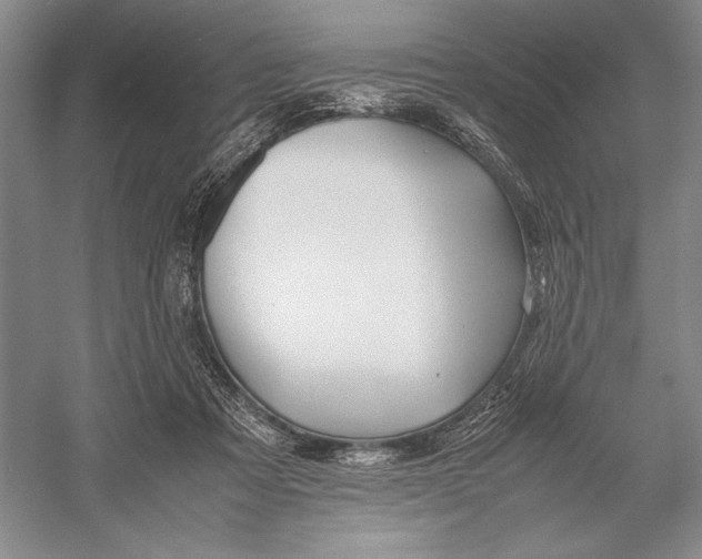 X0000052970313200508051021