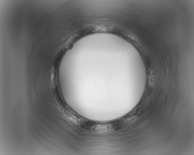 X0000052970314200508051021