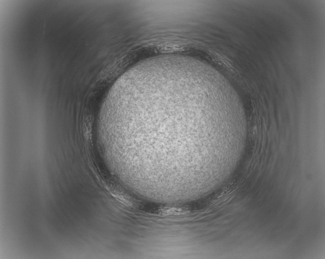 X0000052970315200508051021