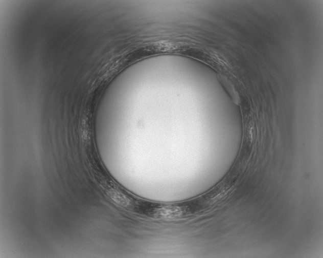 X0000052970317200508051021